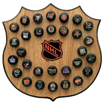 NHL Mini Hockey Puck Wall Plaque. All NHL 32 Team Retro Souvenir Colle –  Inglasco Inc.