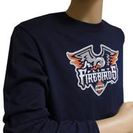 Customize Flint Firebirds Hockey Jersey Embroidery Stitched Customize Any  Number And Name Jerseys From Menglongqin, $51.81